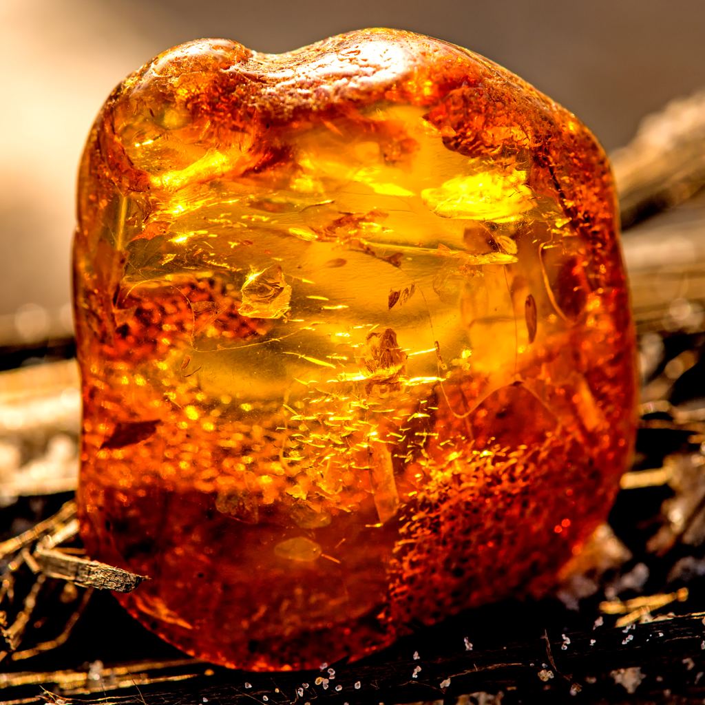 Amber - Scent Graphic