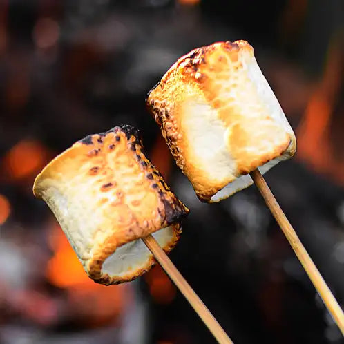 Campfire marshmallow scent inspiration — toasted marshmallows over glowing embers with oak smoke and juniper, the fragrance behind M. Joseph Creations Campfire Marshmallow Scented Candle