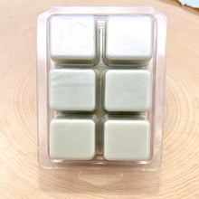 Load image into Gallery viewer, Santal & Coconut Scented Wax Melts - back