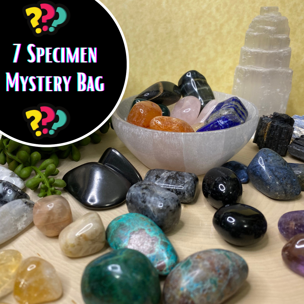 7 Specimen Mystery Bag
