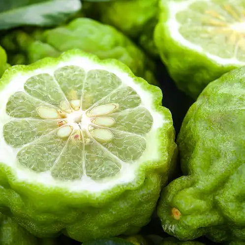 Bergamot Bliss - Scent Graphic