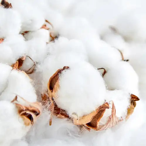 Clean Cotton - Scent Graphic