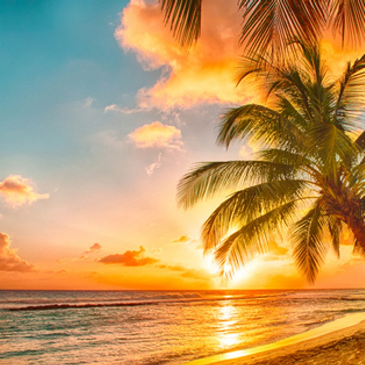Oahu Sunset / Honolulu Sun - Scent Graphic