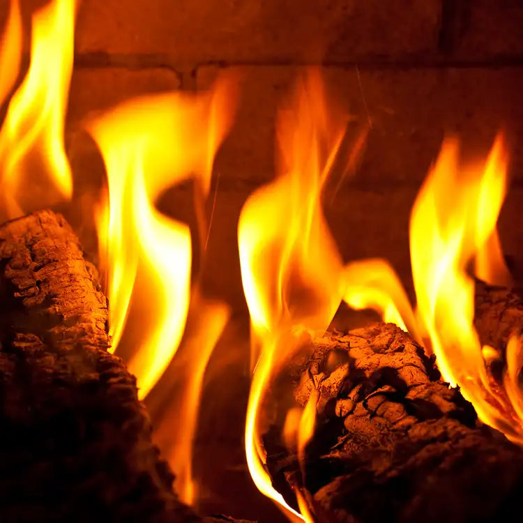 Fireside Scented Wax Melts - graphic