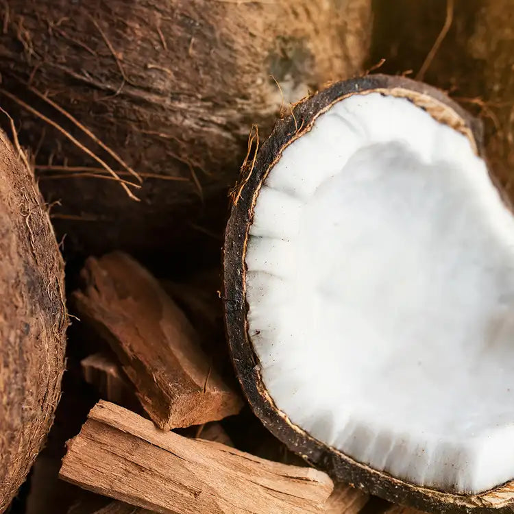 Santal & Coconut - Scented Graphic