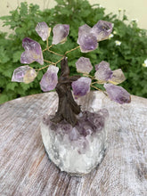 Load image into Gallery viewer, Crystal Tree on Amethyst Base
