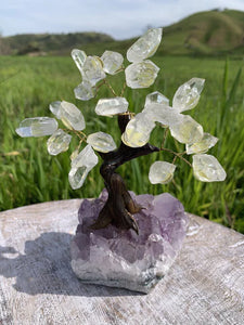 Crystal Tree on Amethyst Base