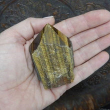 Load image into Gallery viewer, Tiger Eye Semi-Polished Crystal Point
