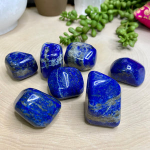 Lapis Lazuli Tumble Stone Specimen