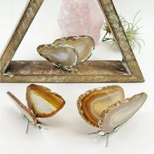 Load image into Gallery viewer, Agate Butterfly (2-Slice Standing)
